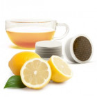 L'ESPRESSO Tè al Limone E.Point- 50er Pack